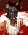/album/fotogalereya-nashi-vypuskniki/a22-noyabrya-2008-goda-098-jpg/